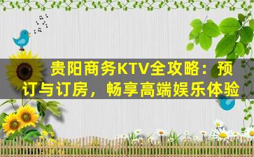 贵阳商务KTV全攻略：预订与订房，畅享高端娱乐体验